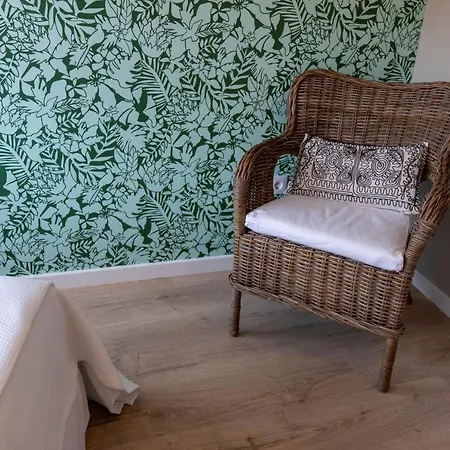 Secret Garden In - Historic Center Bragança